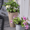 ����� ��� ������ ECO-friendly (����: �������) - ����-��������