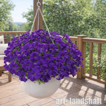 ������� ��������������� (�����������) "HD Blue" - ����-��������